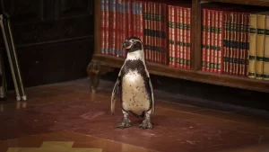 Lições de Liberdade_6_Diamond Films