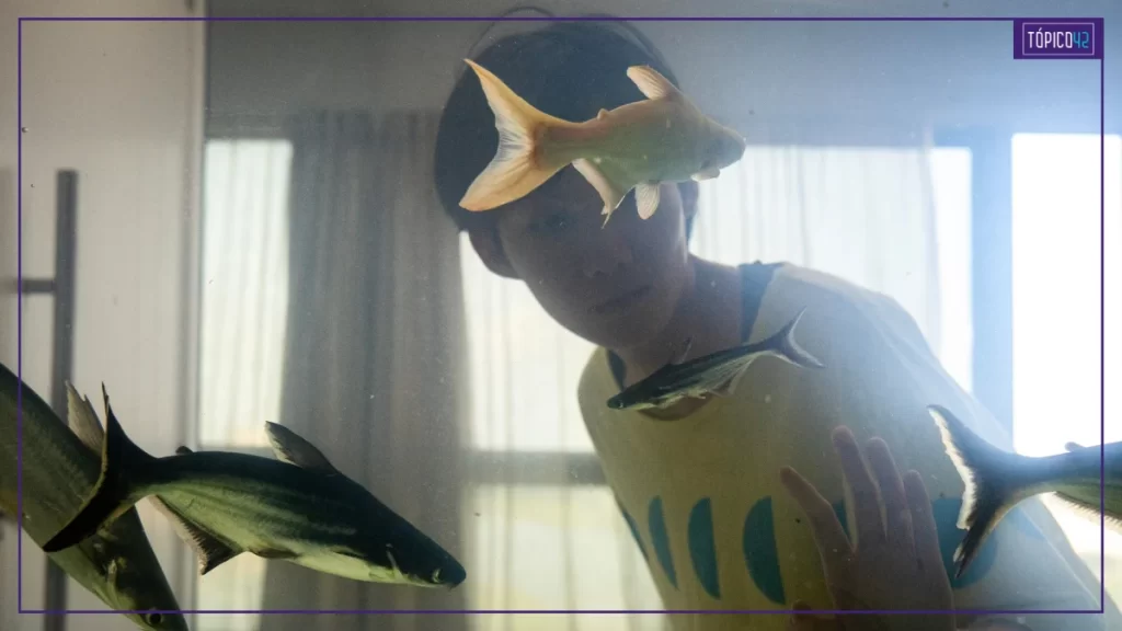 Dormir de Olhos Abertos | A beleza e o desconforto 