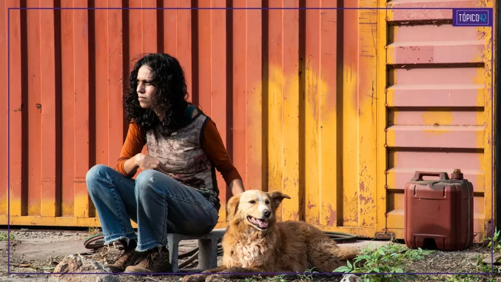 suçuarana-capa-topico-42